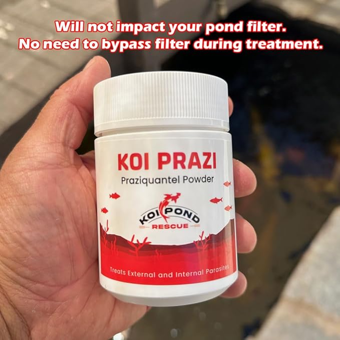 Generic KOI PRAZI (10 Grams) Praziquantel Powder for Pond & Aquarium, Effective Fish Treatment for Flukes & Bacterial Infections in Koi and Ornamental Fish, White
