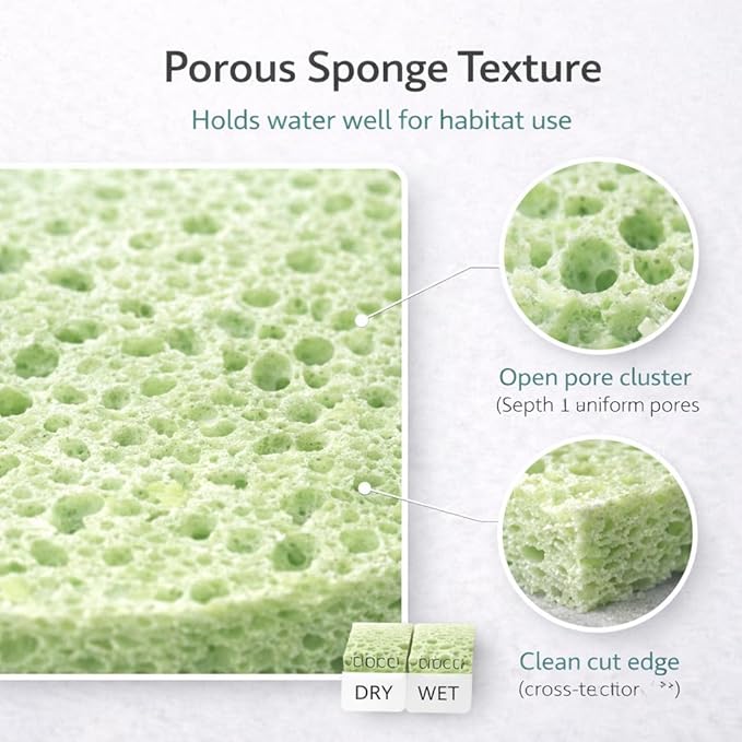 Green Sponge Accessories for Hermit Crab Habitat, Moisture Supply for Maintaining Tank Humidity, 10PCS