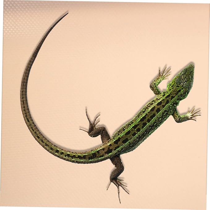 Reptile Carpet Liner Bedding Mat for Bearded Dragon and Leopard Gecko Eva Substrate Terrarium Accessories Easy to Clean Comfortable for Various Reptiles