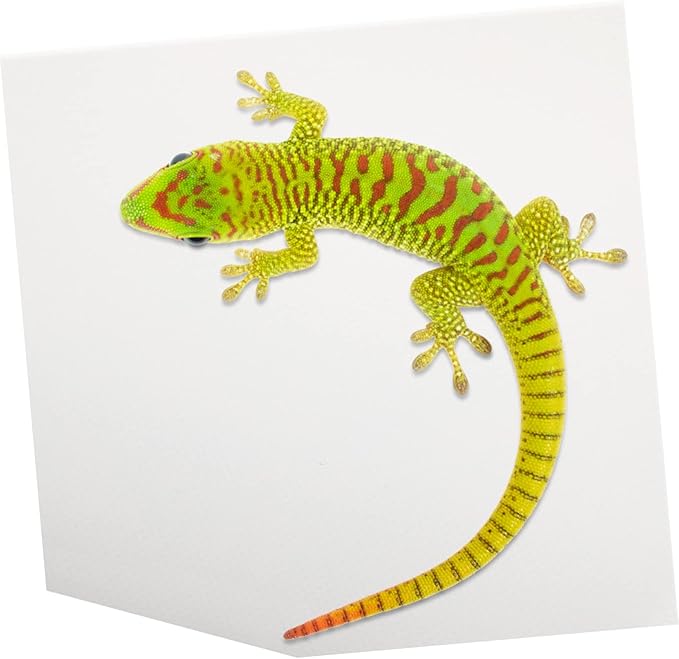 Bearded Dragon Gecko Snake Tortoise Reptile Tank Bedding Reptile Carpet Easy Install Clean