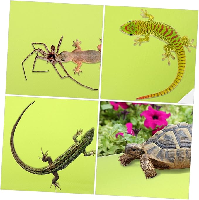 Reptile Substrate Carpet Mat for Bearded Dragons Leopards Snakes Non-Slip Terrarium Liner Large for Easy Cleaning and Pet Comfort