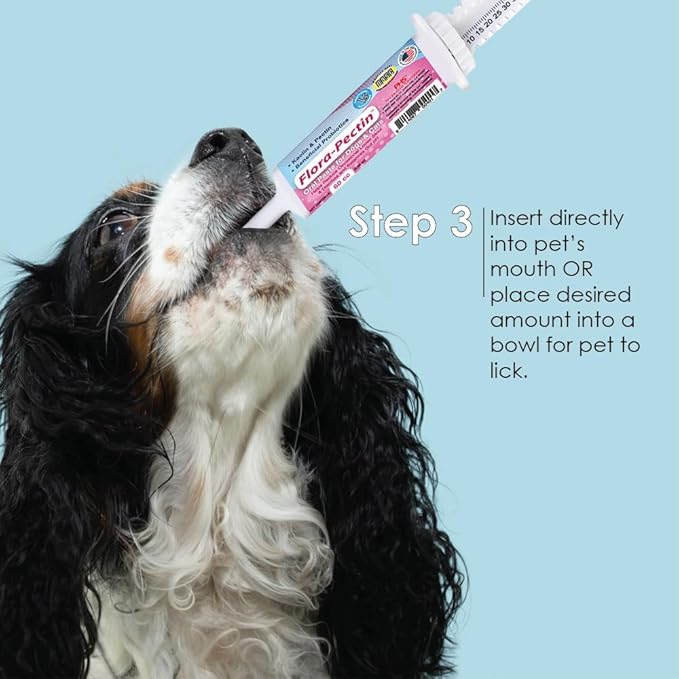 Oral Paste for Dogs & Cats – Fast Diarrhea Relief & Firm Stool Support, Helps Upset Stomach, Reduces Occasional Loose Stool, Balances Gut pH & Supports Normal Digestion (30 CC, Tasty Chicken Flavor)