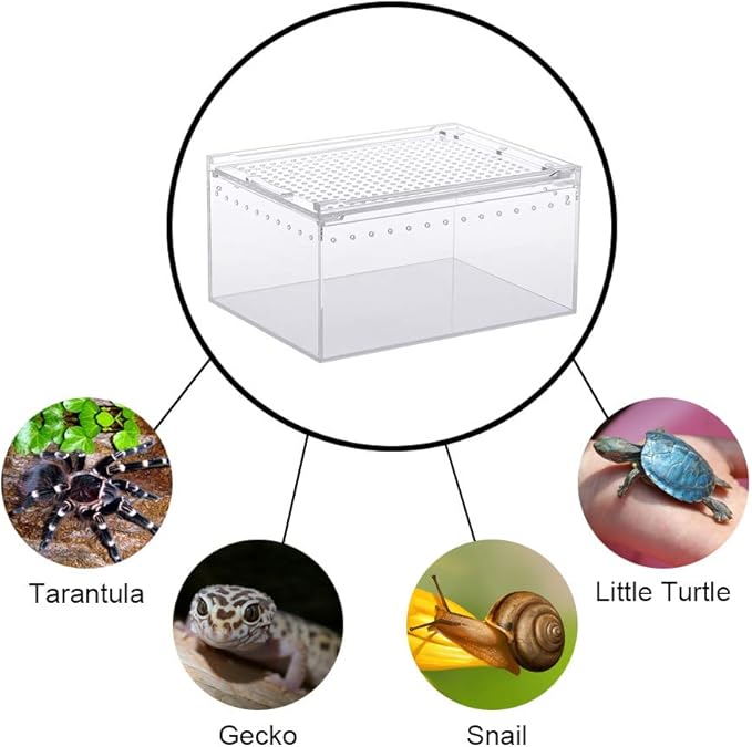 NANEEZOO Magnetic Acrylic Reptile Case - 8"x6"x4" Flat Long Enclosure Transparent Reptile Breeding Box Terrarium Cage - for Tarantula Scorpion Sling Isopods Invertebrates & Insect Mantis