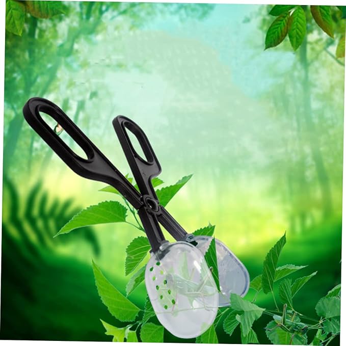 Alasum 6 Pcs Tongs Feeding Frog Cricket Clamp Scooper Reptile Litter Pooper Reptile Feeding Clamp Aquarium Feeding Scooper Catcher Scoop Reptichip Barley Clean