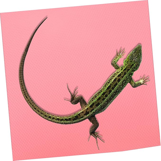 Reptile Tank Carpet Mat for Leopard Gecko Lizard Snake and Tortoise Sturdy Substrate Bedding for Terrarium Non-Slip Surface Easy to Clean and Maintain