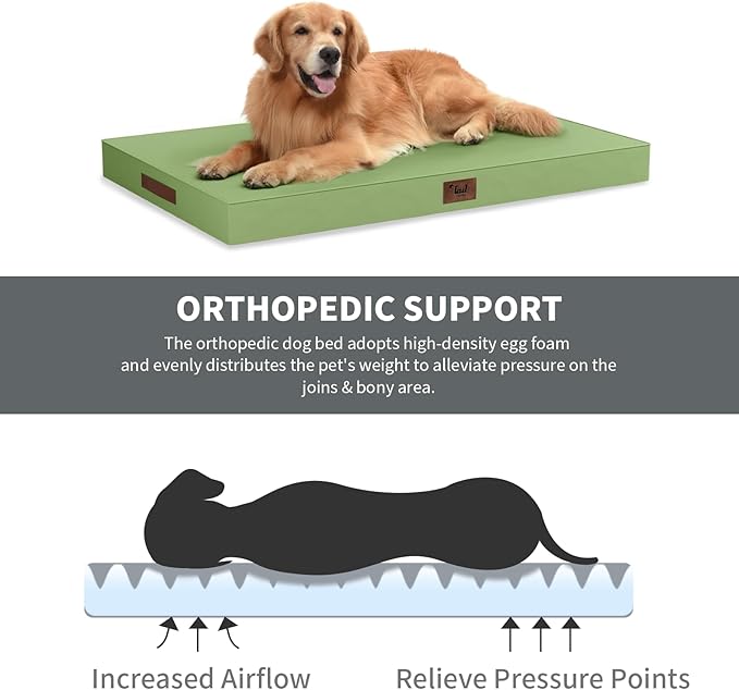 Outdoor Orthopedic Dog Bed for Medium Dogs & Cats, Waterproof Flat Pet Mat with Egg Crate Foam & Washable Removable Oxford Cover, 30x20 Inch, Light Green