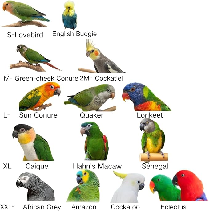 Adjustable Bird Diaper Parrot Clothes Flight Suite, Reusable Parrot Nappy with Waterproof Inner Layer, Warm Bird Urine Wet Suit Costume for Conure African Grey Quaker (Purple, with Leash,2XL)