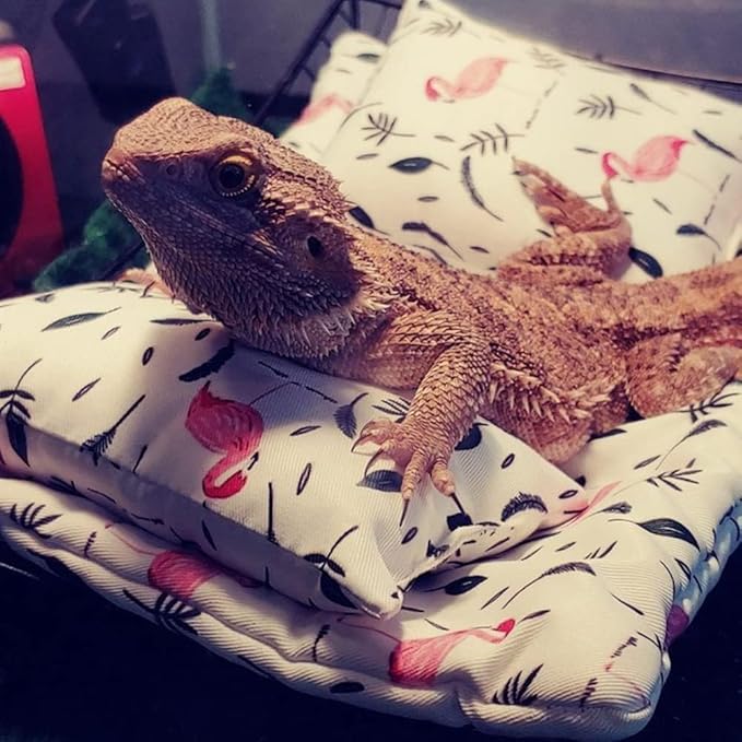 Bearded Dragon Hammock Lizard Hammock Reptile Bed with Pillow Lizard Habitat Soft and Warm Small Animal Sleeping Bag Set