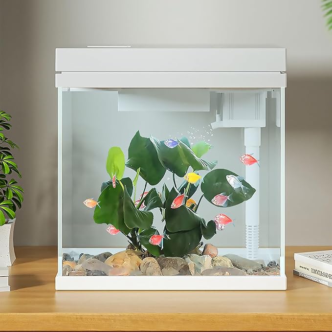 Fish Tank, 2.5 Gallon Nano-Aquarium, Upgrade Filter System and LED Light, for Freshwater & Marine, Filter Balls Included (2.5 Gal)