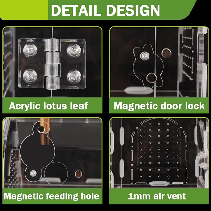 Jumping Spider Enclosure,Premium Acrylic Spider Enclosure - Ideal for Tarantulas, Reptiles, and Insects - Easy Assembly & Feeding - All-Round Transparent Terrarium