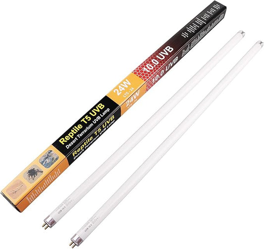 Aiicioo 2 Pack T5 HO 10.0 Reptile UVB Light 24W - Desert 22" UVA UVB Fluorescent Lamp Tube UVB Lighting Bulb for Tortoises Lizard Bearded Dragon Chameleon Turtles