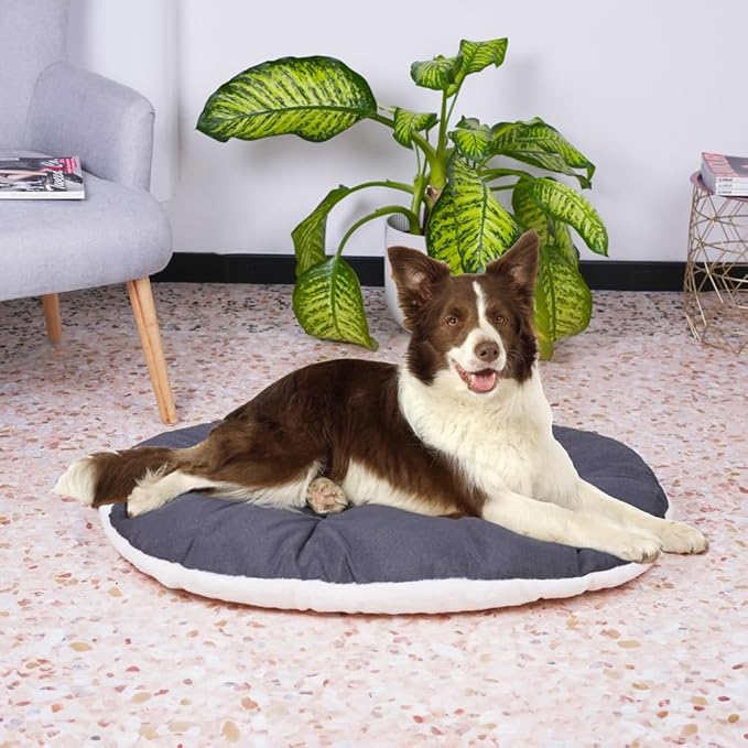 Ferplast Dog Bed Large Dog Cushion Washable Pet Mattress in Cotton with Soft Padding, 85 x 55 cm. Brown