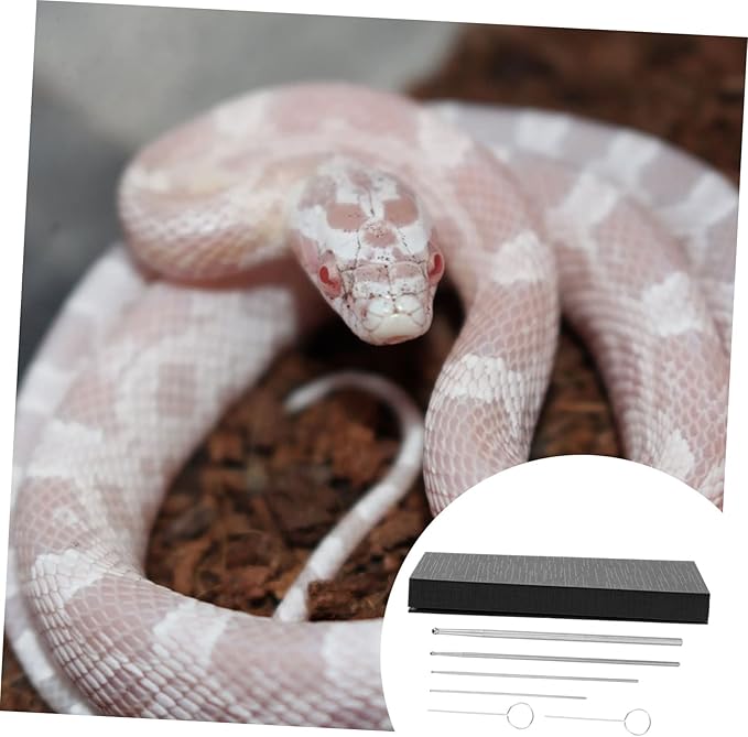 6PCS Stainless Steel Snake Probe Set Reptile Gender Detection Tools for Corn Snakes Kingsnakes and Other Reptiles Sturdy and Easy-to-Use Gender Probes