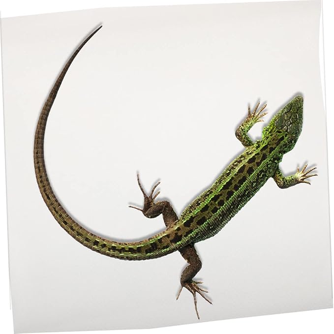 ERINGOGO Reptile Carpet Mat for Terrarium Comfortable Substrate Bedding for Bearded Dragons Leopards Lizards Snakes Turtles Dust