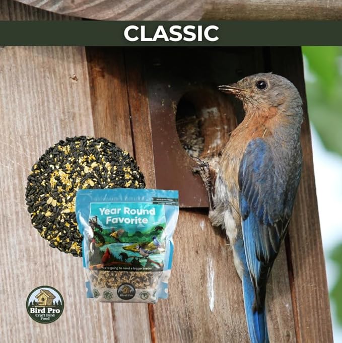 Classic Bird Seed (40 Pounds, Year Round Favorite)