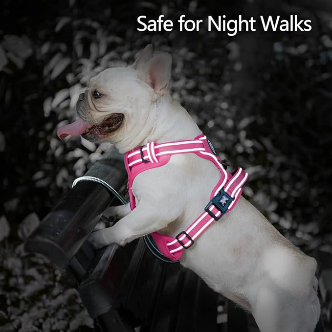 PoyPet No Pull Dog Harness, No Choke Reflective Dog Vest, Adjustable Pet Harnesses with Easy Control Padded Handle for Small Medium Large Dogs(Pink Matching Trim,L)