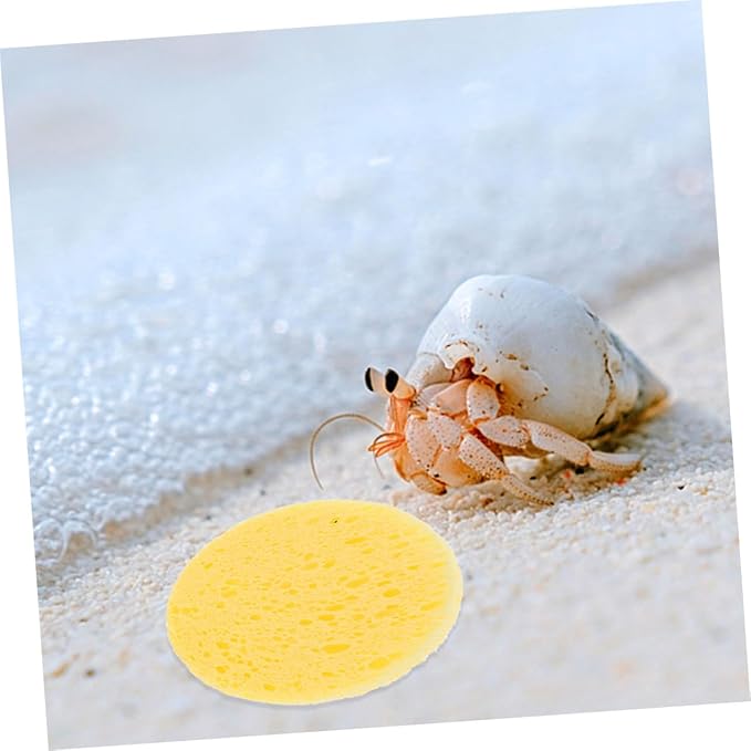 Happyyami 50pcs Crab Humidity Sponges for Pet Habitat Nutrients Providing Water-Absorbing Sponges Moisture Retaining Sea Creature Supplies for Crab Tanks and Terrariums