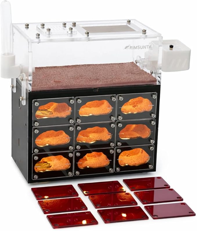 Ant Farm for Live Ants with Inner Lights - Large Viewing Area - Natural Learning Toy - Great Gift