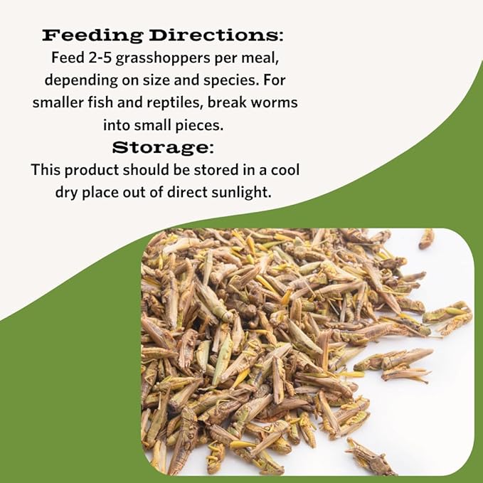Fluker's Freeze Dried Grasshoppers for Reptiles, Packed with Protein and Essential Nutrients, 1 lb. Value Pack