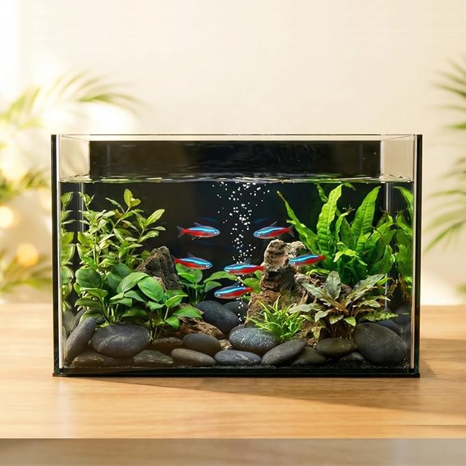 3 Gallon Glass Fish Tank Cube, Small Aquarium Fish Bowl for Betta Goldfish Snails Shrimp Aquatic Planting, Easy to Maintain Ultra Clear Rimless Design for Desktop Small Spaces