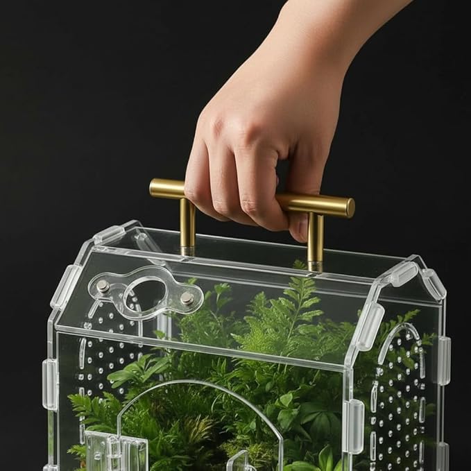 Acrylic Jumping Spider Enclosure (5.9" x 4.7" x 5.5") - Magnetic Door & Handle Terrarium for Tarantulas, Reptiles, Amphibians & Insects - All-Round Transparent, Easy Assembly & Feeding