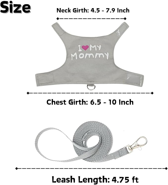 Bearded Dragon Harness and Leash Set - Adjustable Lizard Harness with Glow in The Dark Print Outdoor Traction Rope Walking Leash Reptile Halloween Costume Accessories for Small Pets (Grey)