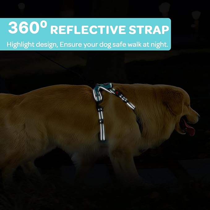 FURRYFECTION Plaid Dog Harness for Large Dogs, Reflective No Pull Adjustable Pet Vest with Front Clip, Leash, Easy Control Handle and Seat Belt, Turquoise, L