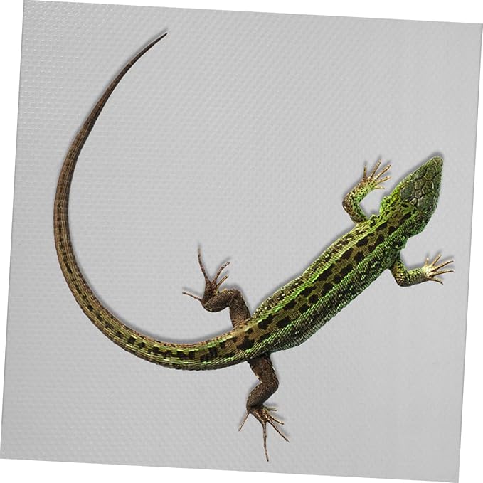 Toddmomy Reptile Hideout Carpet Large Gecko Terrarium Liner Reptile Bedding Safe Comfortable Substrate for Tortoise