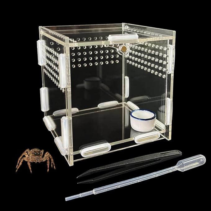 GKPONSX Magnetic Acrylic Spider Terrarium, Transparent Jumping Spider Enclosure with Dropper Tweezers Bowls for Insects, Crickets, Gecko, Scorpion, Sling, Mantis, Frog, Isopods, Snails, Hermit Crabs