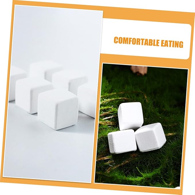30pcs Natural Mineral Calcium Block for Reptiles and Amphibians Supports Growth and Dental Health for Tortoises Turtles Frogs Lizards Chameleons Provides Essential Trace Elements