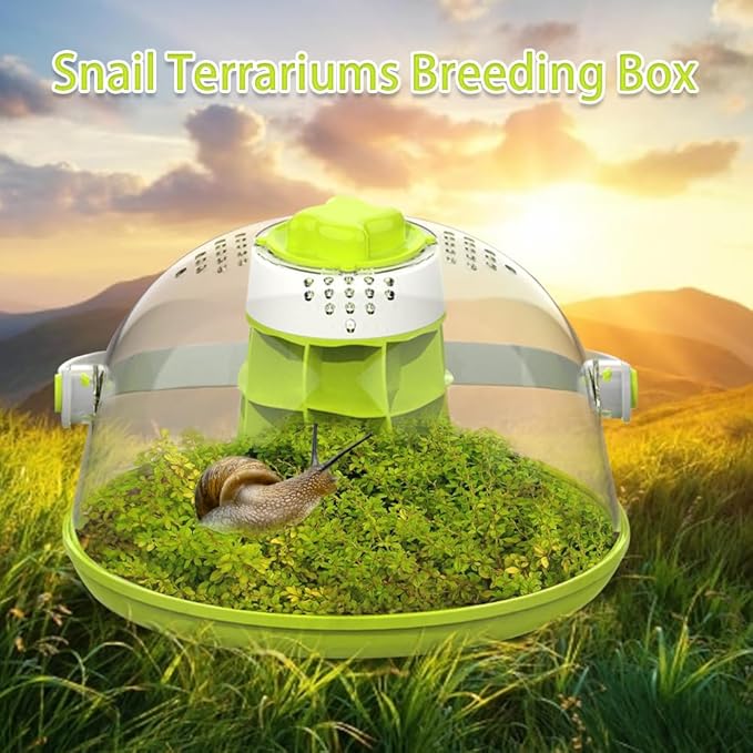 Snail Terrariums Breeding Box, Round Habitat Starter Terrarium Kit, Transparent Feeding Box, Ideal for Beetles, Spiders and Small Reptile