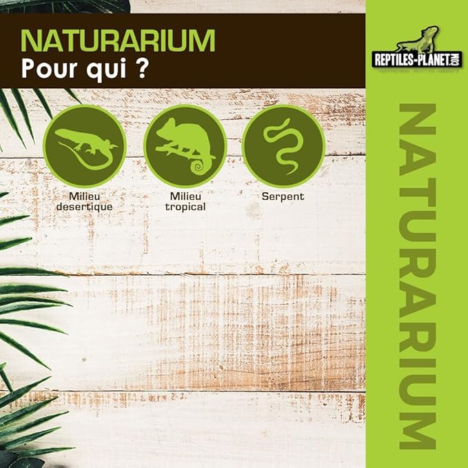 Reptiles-Planet Naturarium Terrarium, Medium, 75 x 45 x 75 cm