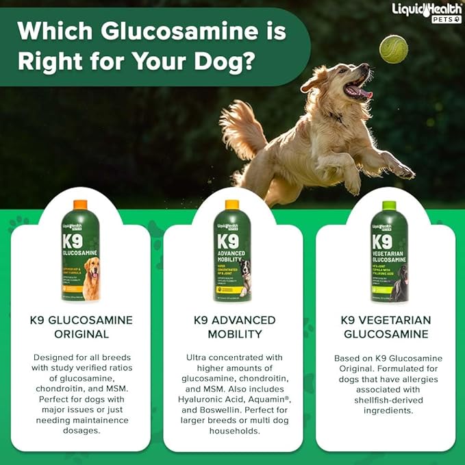 LIQUIDHEALTH Pets K9 Liquid Glucosamine for Dogs, Puppies, Senior Canines with Chondroitin, MSM, Hyaluronic Acid - Dog Vitamins for Hip Joint Health, Dog Joint Oil, Joint Juice - Made in USA (3 Pack)