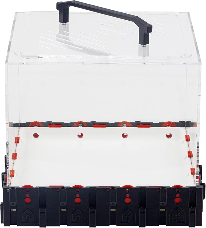 Anthouse.ES - 3D Modular Anthill Foraging Box - QBIK Mega Foraging Box Model - 24.78x24.78x16.70 cm - Ant Colonies - Terrarium