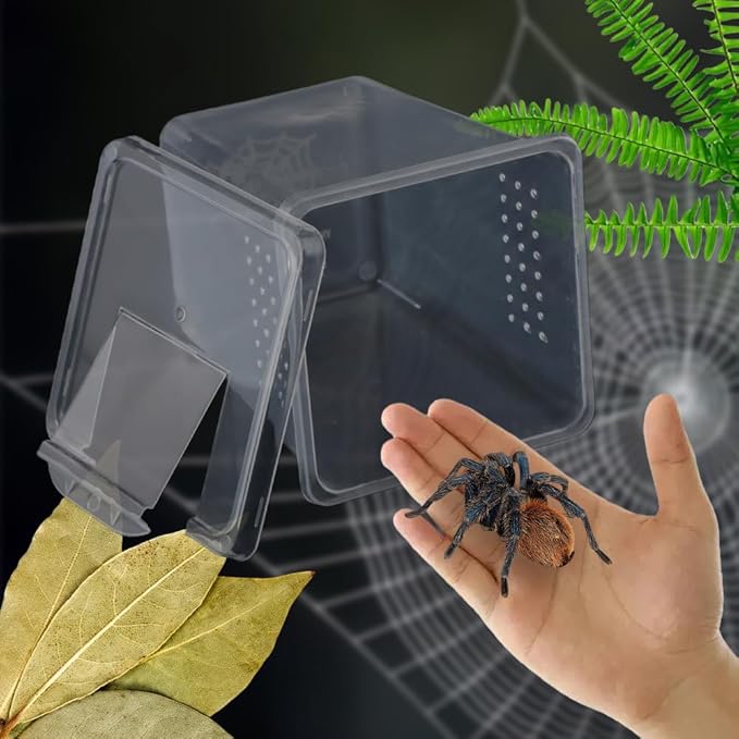 4 Pcs Insect Spider Terrariums Breeding Box Hatching Container Small Reptile Arboreal Spider Mantis Scorpion Centipede Acrylic Breeding Box