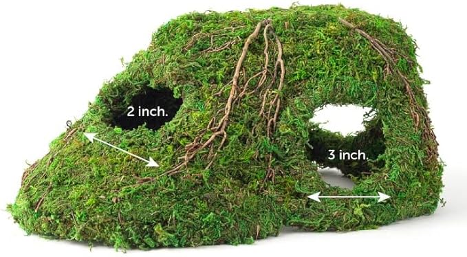 Galápagos (05370) Mossy Sapa Corner Hide - The Perfect Reptile Hide for Security and Comfort - A Natural and Secure Hide for Reptiles, Amphibians, and Invertebrates, L10” x W5.5” x H4.5”