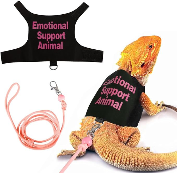 DONGKER Bearded Dragon Harness and Leash Set,Self-Adhesive Adjustable Lizards Walking Training Harness Escape Proof with 4.4ft Nylon Leash for Outdoor Indoor Walking