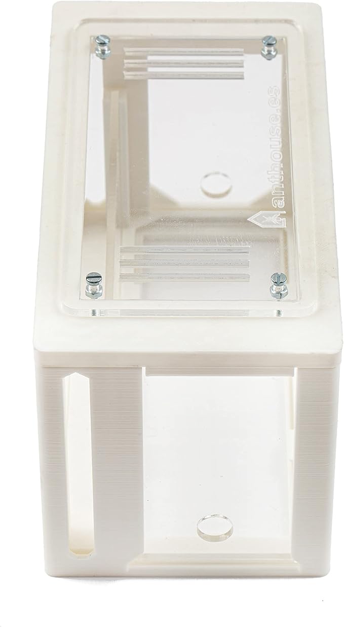 Anthouse.ES - 3D Aquarium-Style Natural Ant Farm - Sand Ant Farm - Complete Kit with Sand and Accessories - Starter Model 20x10x10 cm - Red Color