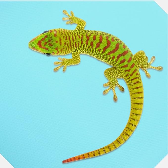 Ipetboom Reptile Carpet Liner for Bearded Dragon and Snakes Soft Terrarium Substrate Mat for Leopard Gecko Lizard Tortoise Easy to Clean and