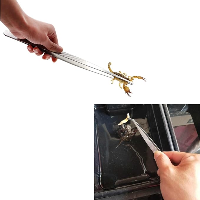3in1 Feeding Tool Reptile Feeding Tongs Cricket Clamp Bug Scooper, Cleaning Supplies Scooper+ 2x Tweezers for Reptile, Hedgehog, Hamsters, Guinea Pig,Lizard, Spider Bearded Dragon (Black)
