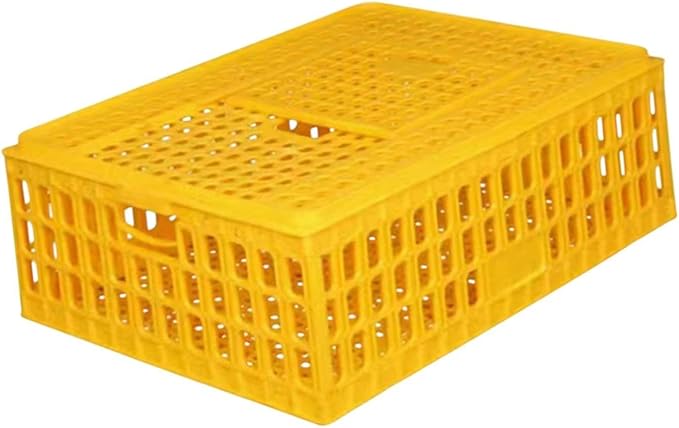 Chicken Carrier Box for Safe Transport of Hens and Pigeons, 75x55x19cm