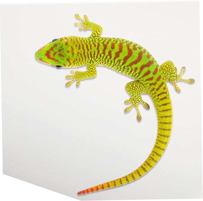 EVA Reptile Carpet Substrate Mat Non-Slip Soft Bedding for Snake Tank Accessories Terrarium Supplies for Leopard Gecko Lizard Tortoise