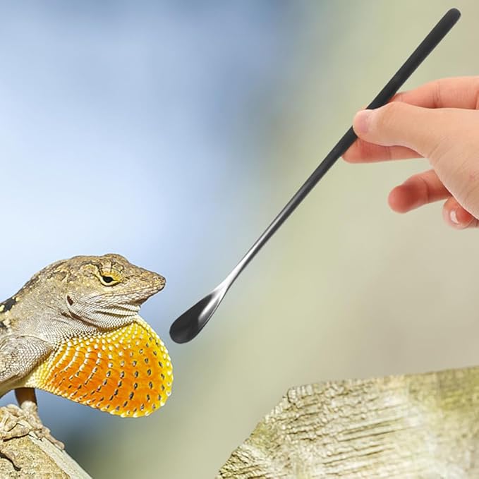 balacoo 3pcs Reptile Food Spoon Handle Feeding Tool for Lizards and Small for Easy Use and Portability for Tortoise and Gecko Care