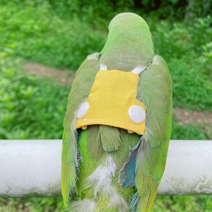 PARREN Bird Flight Harness Vest, Parrot Flight Suit with Leash for Parakeets, Bird Flying Clothes with Rope and Handle for Outdoor Activities Training, Anti Bite (3XL), Yellow