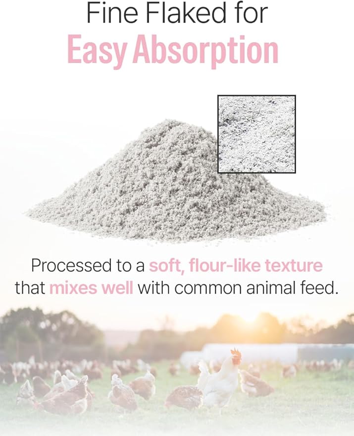 NICE WITCH'S Oyster Shell Flour 1.1 lb (500 g) – Finely Ground Calcium for Chickens, Ducks, Birds, Reptiles, Amphibians & More – Natural Source of Calcium | Korean Oyster Shell Powder/굴껍질 가루