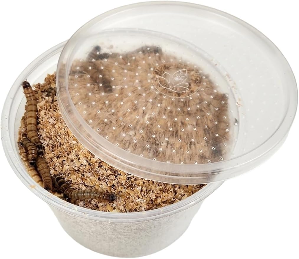 Josh's Frogs Superworms (100 Count)