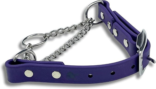 Martingale Collar for Dogs, Biothane, Stainless Steel Hardware, No Pull, Made in The USA, Professional Grade, Small, Purple