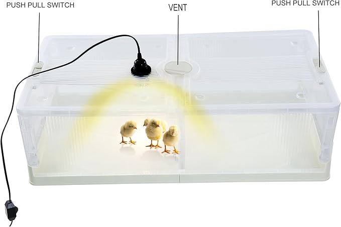 Large Transparent Chicken Brooder Box Chick Incubator Tortoise Habitat,30-50 Indoor Chicken Coop Chicken Tractor Quail cage,31.5inch Chick Brooder Kit
