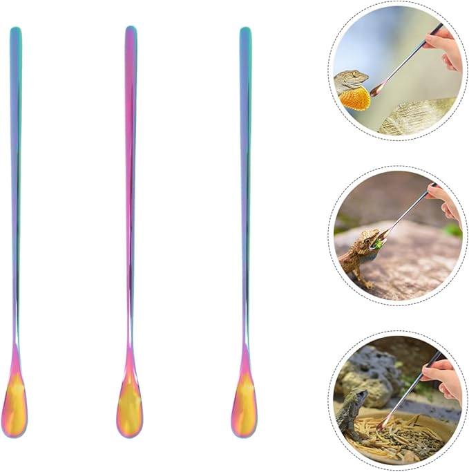 BESPORTBLE 3pcs Reptile Care Small Pet Feeding Spoon Stainless Steel Lizard Food Scoop Comfortable Handling