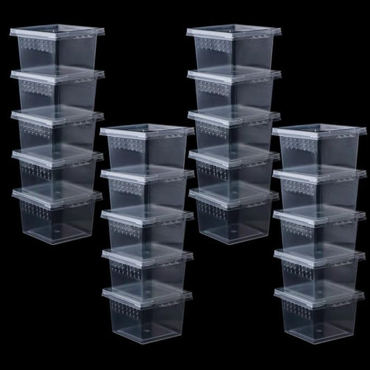 DQITJ 20 Pcs Spider Terrariums Breeding Box Hatching Container Acrylic Feeding Box for Small Reptile Scorpion Centipede Insect (Small Size)